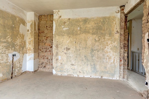 Bosweg 69019.jpg